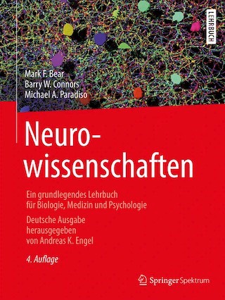 Cover Bear Neurowissenschaften